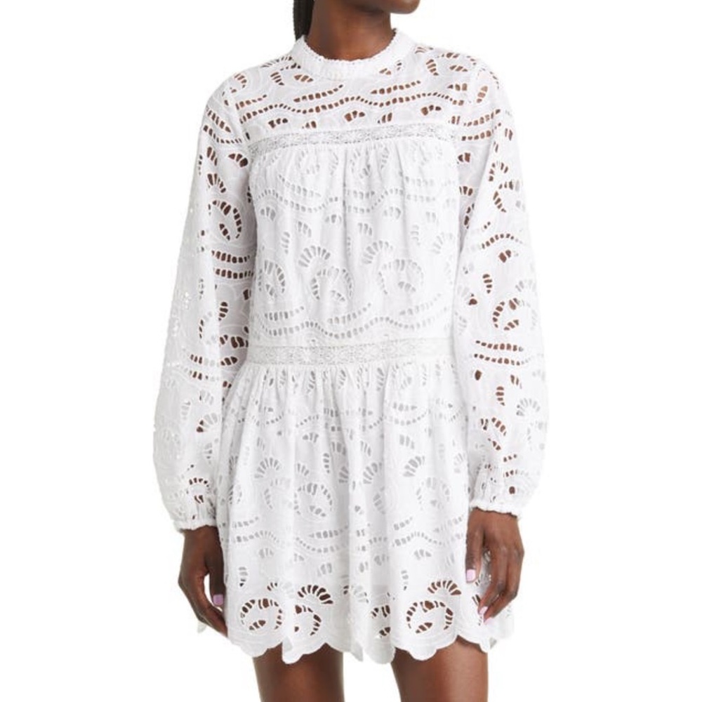 Chelsea28 Embroidered Eyelet Long Sleeve Mini Dress